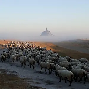 L'hirondelle , Pontorson Francia
